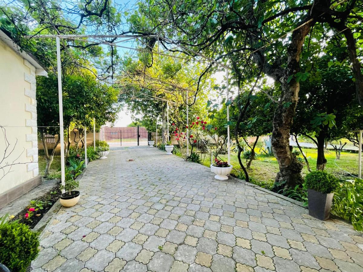 Hotel Askar Alakhadze 외부 사진